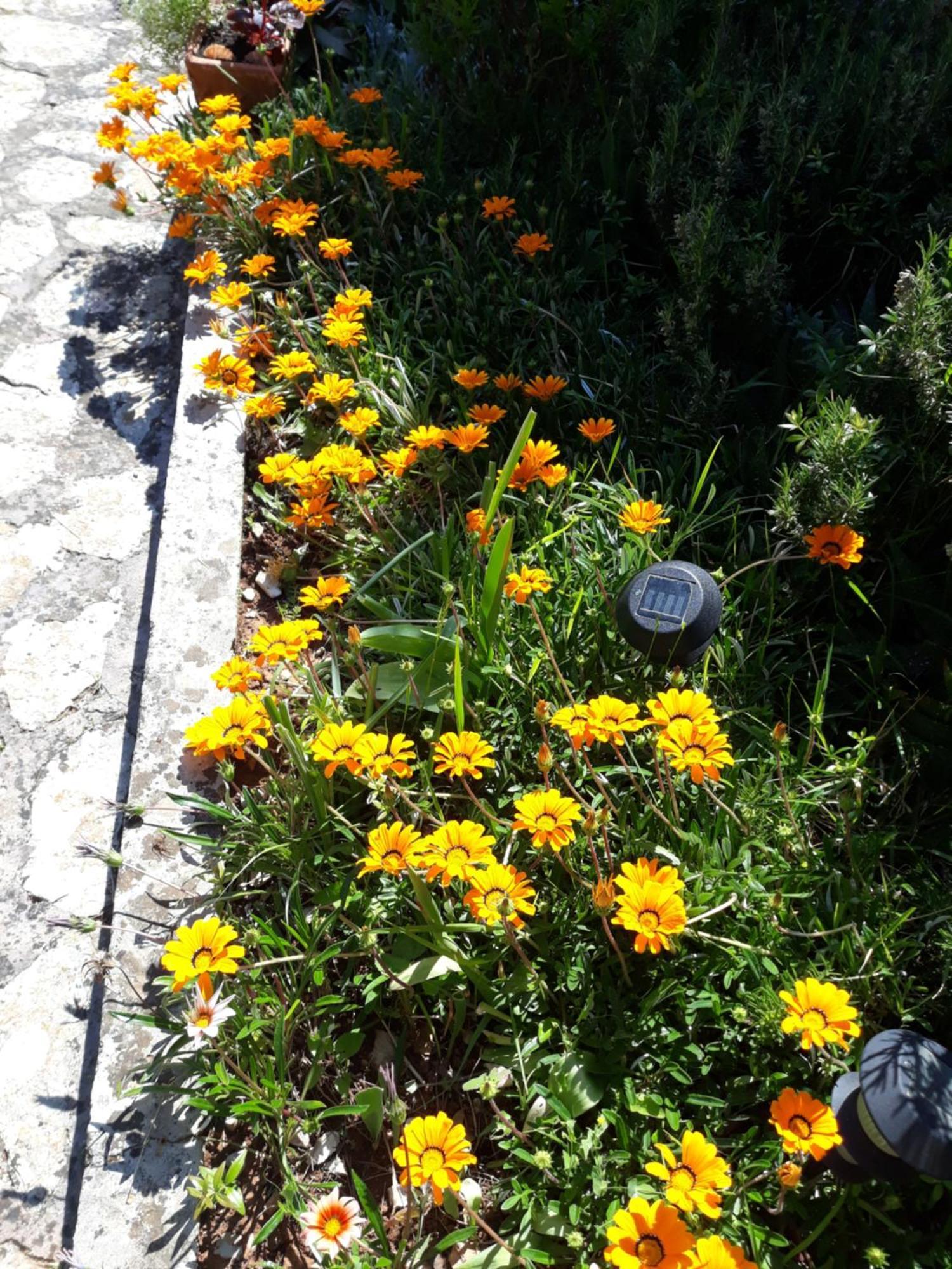 Holiday Home Villa Esperanca Lussingrande Esterno foto
